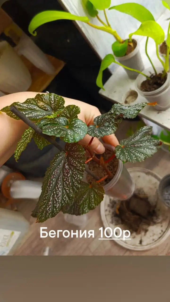 Продажа автомобиля в Батайске