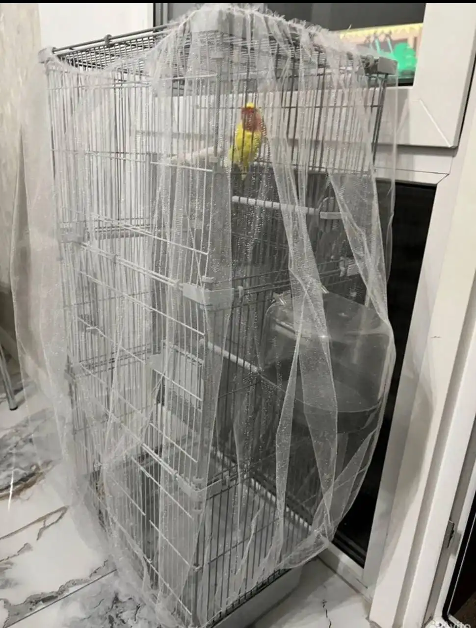 Продажа неразлучника с клеткой