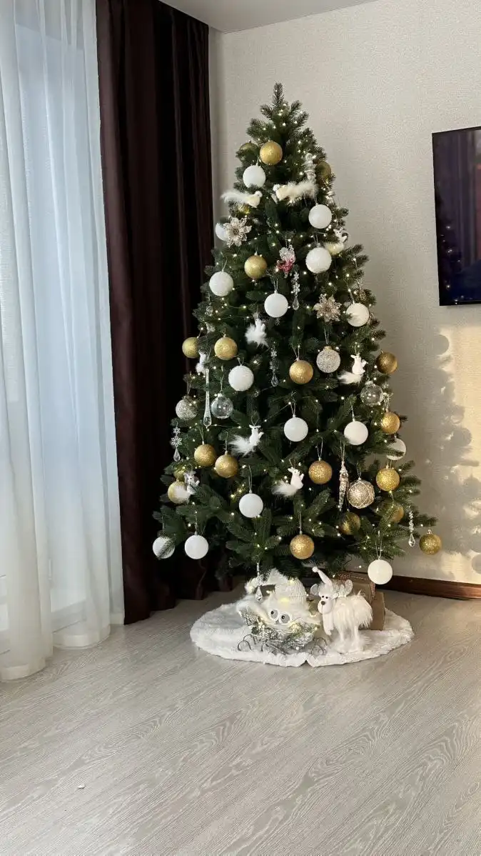 Дед Мороз в Вашем Интерьере - фотоуслуга