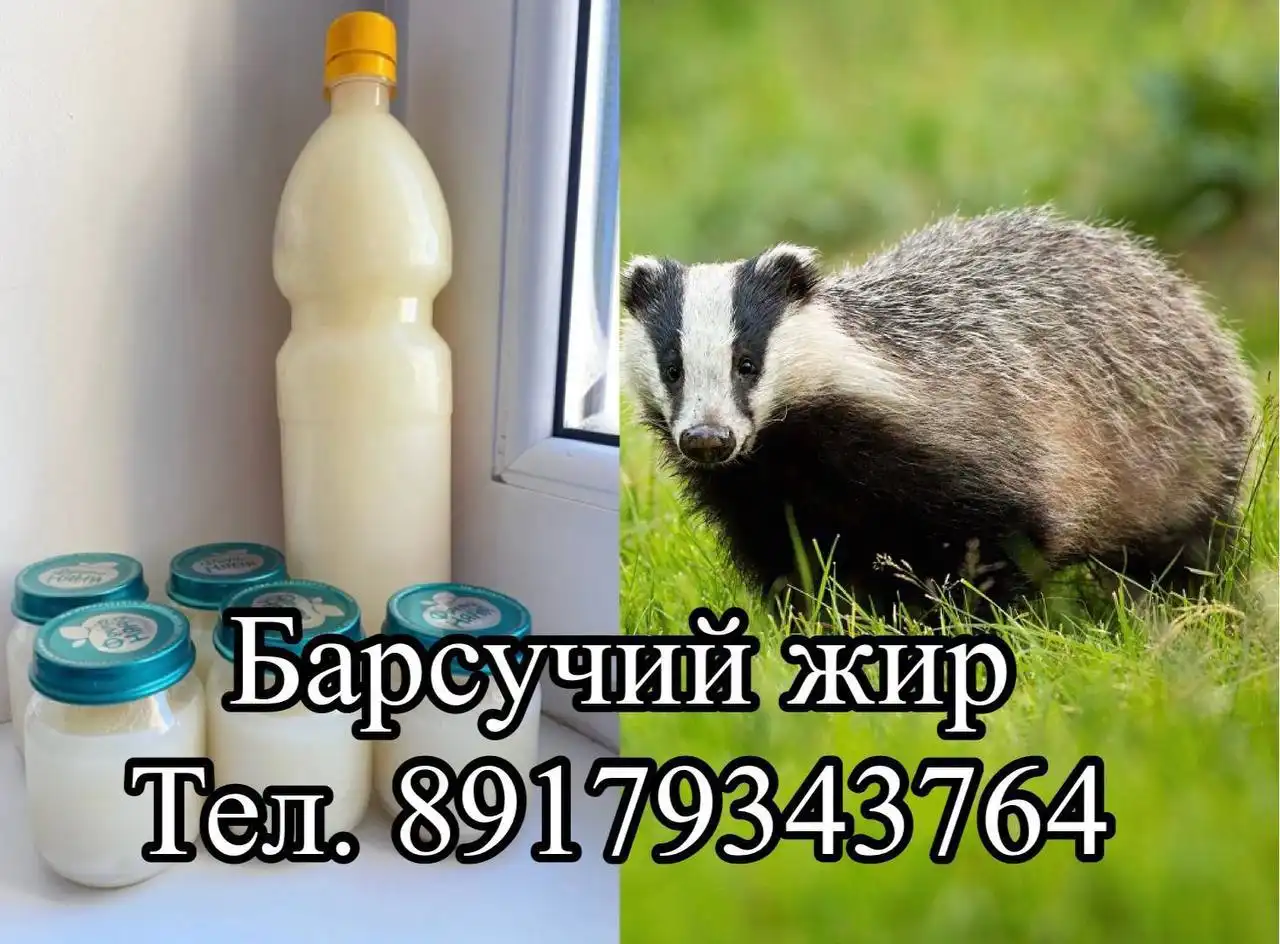 Барсучий жир от охотника