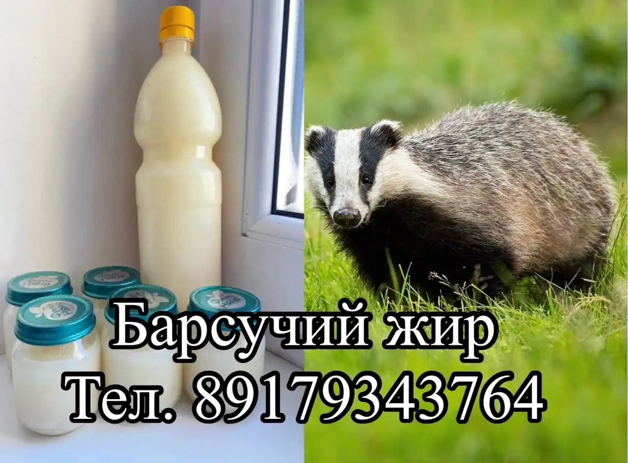 Барсучий жир от охотника - Барахолка в Набережные Челны