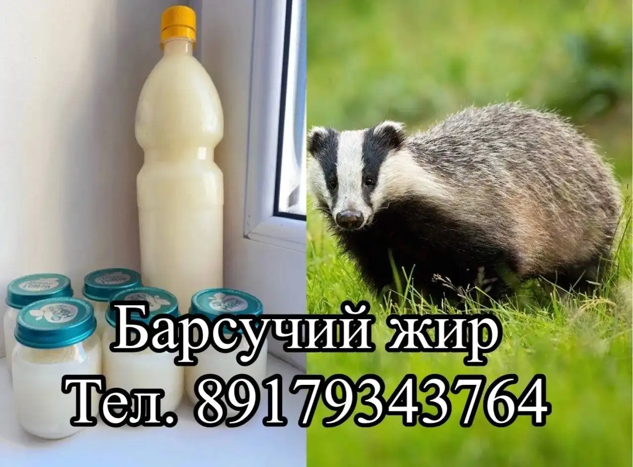 Барсучий жир свежий - Охота и рыбалка (Хобби и отдых) в Набережные Челны