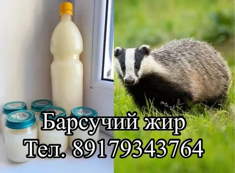 Барсучий жир свежий - Хобби и отдых в Набережные Челны