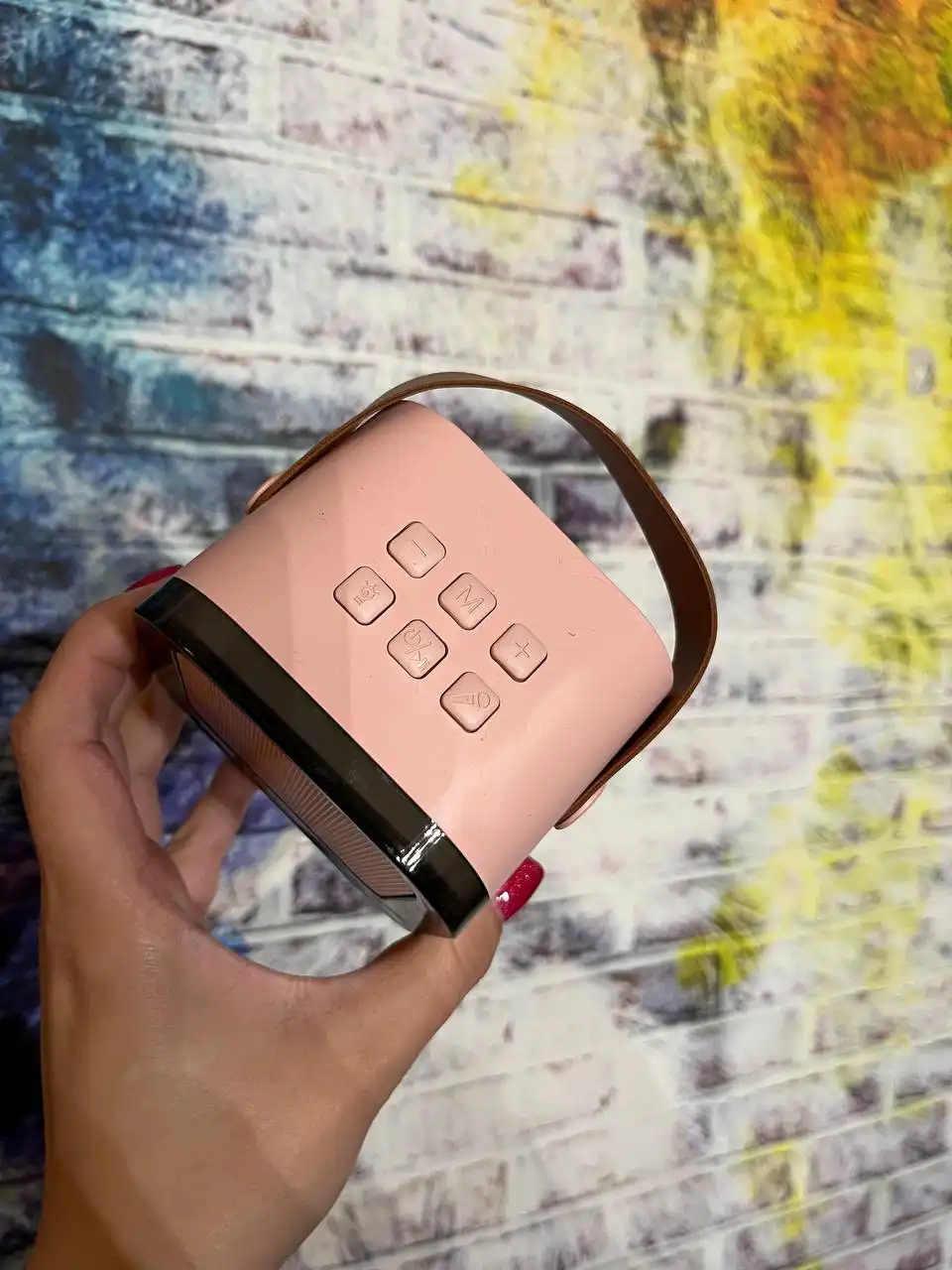 Колонка караоке с 2 микрофонами