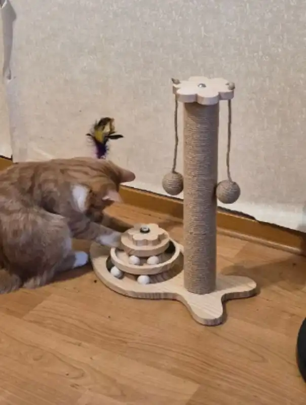 Когтеточка - Инструменты в Санкт-Петербург