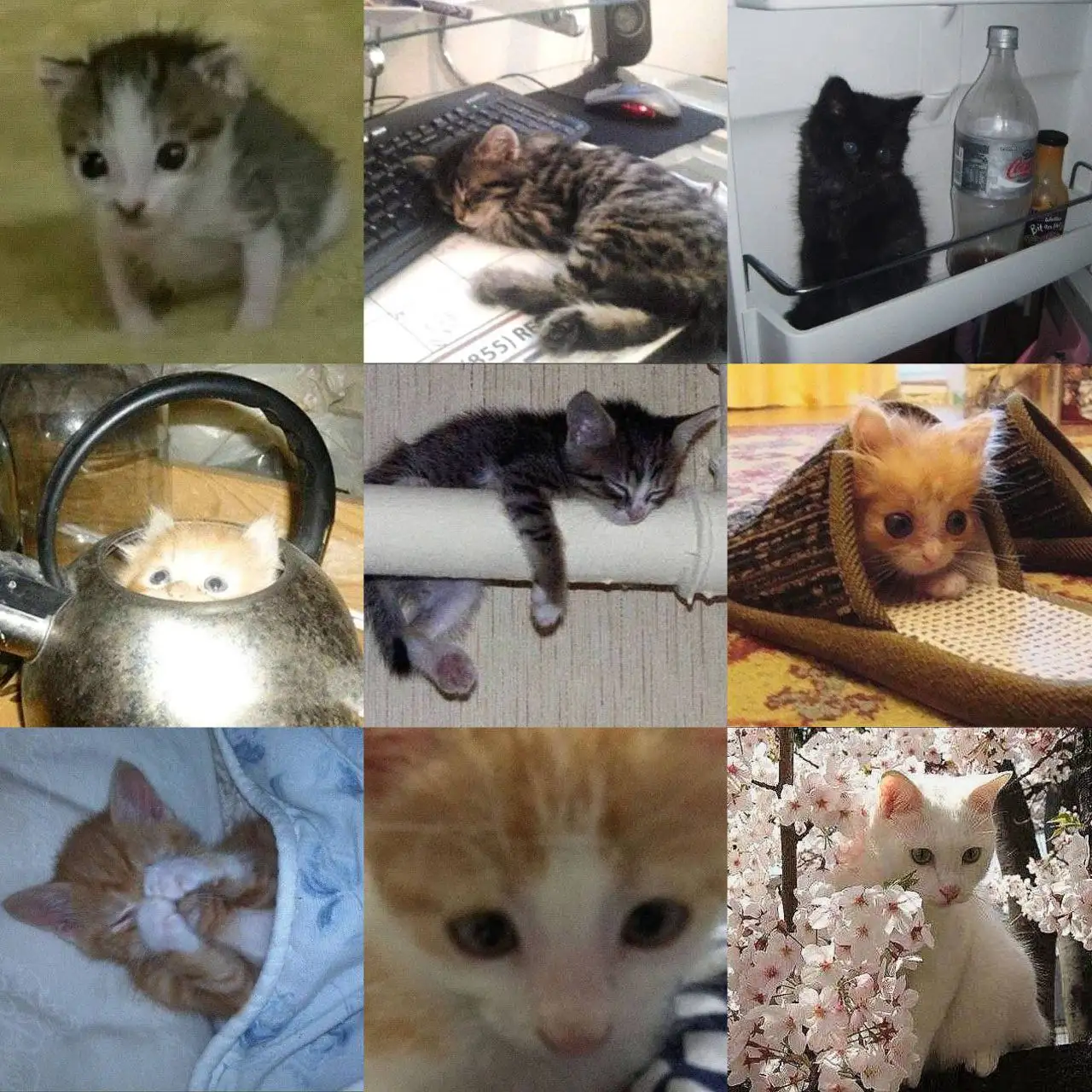 Браслет nomination с тремя слоями смолы - Барахолка в Санкт-Петербург