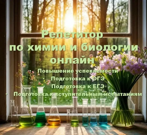 Репетитор по химии и биологии - Вывоз мусора в Санкт-Петербург