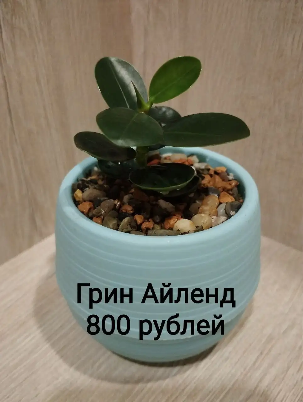Распродажа зимней резины Bridgestone 185/60 R14 - Шины (Авто) в Санкт-Петербург