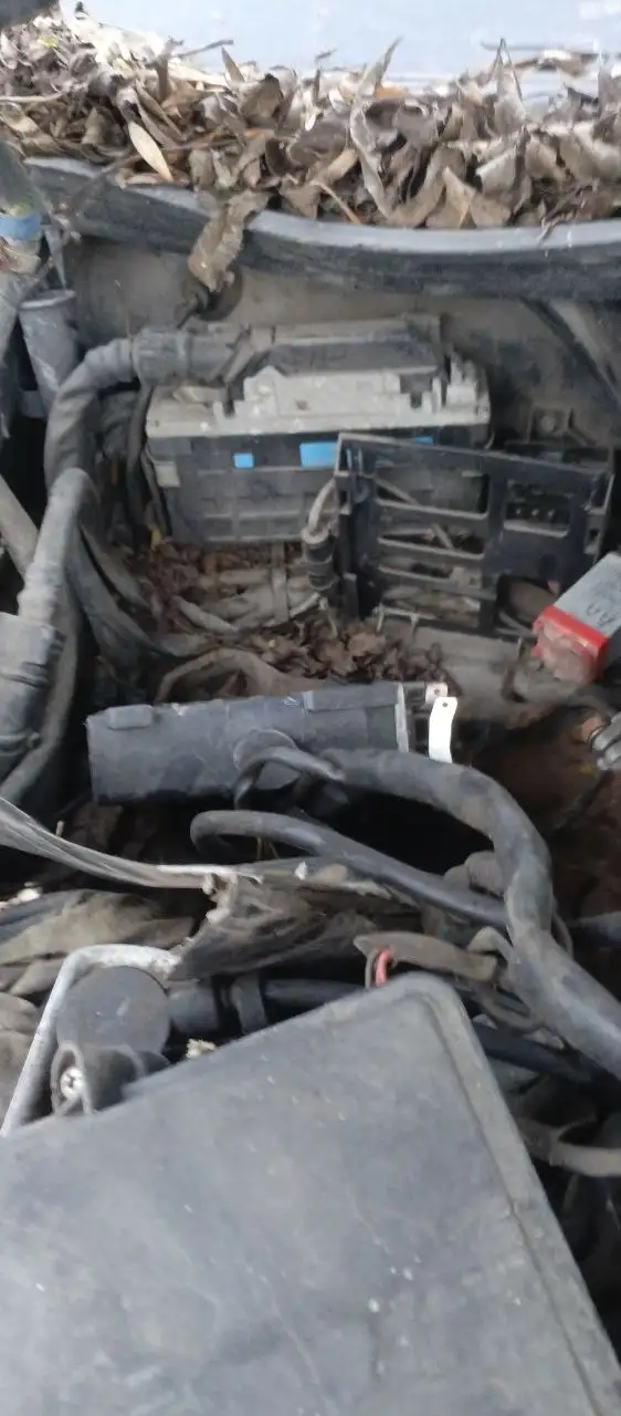 Автомобиль на разборе - Запчасти (Авто) в Калининград