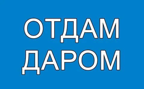 Отдам даром в Телеграме, МАХ и ВКонтакте - Музыкальное оборудование в Калининград