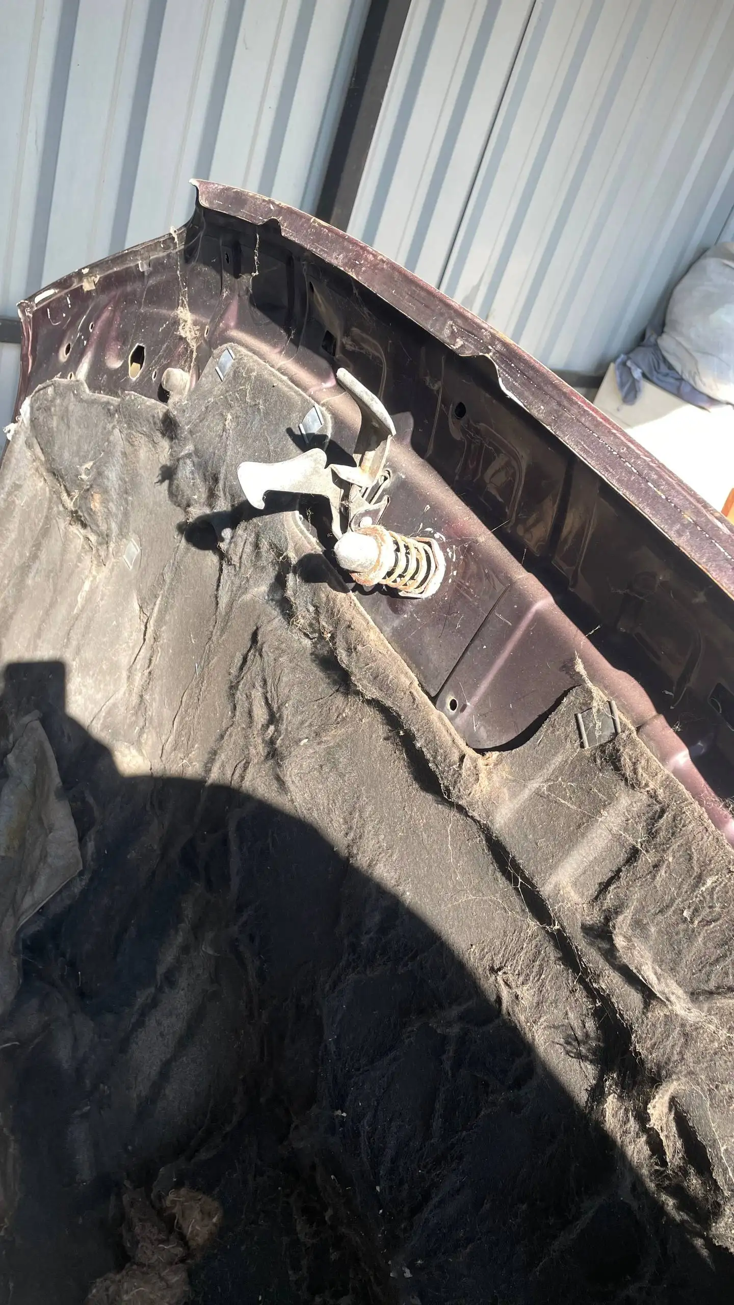 Капот Опель Омега Б дорест - Автозапчасти (Запчасти) в Калининград