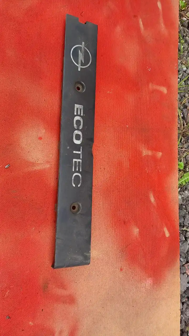 Омега б дорест