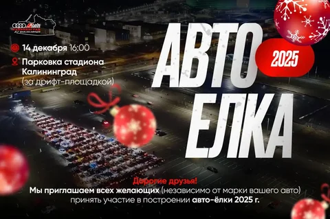 Построение авто-ёлки 2025 в Калининграде - частное объявление в Калининград