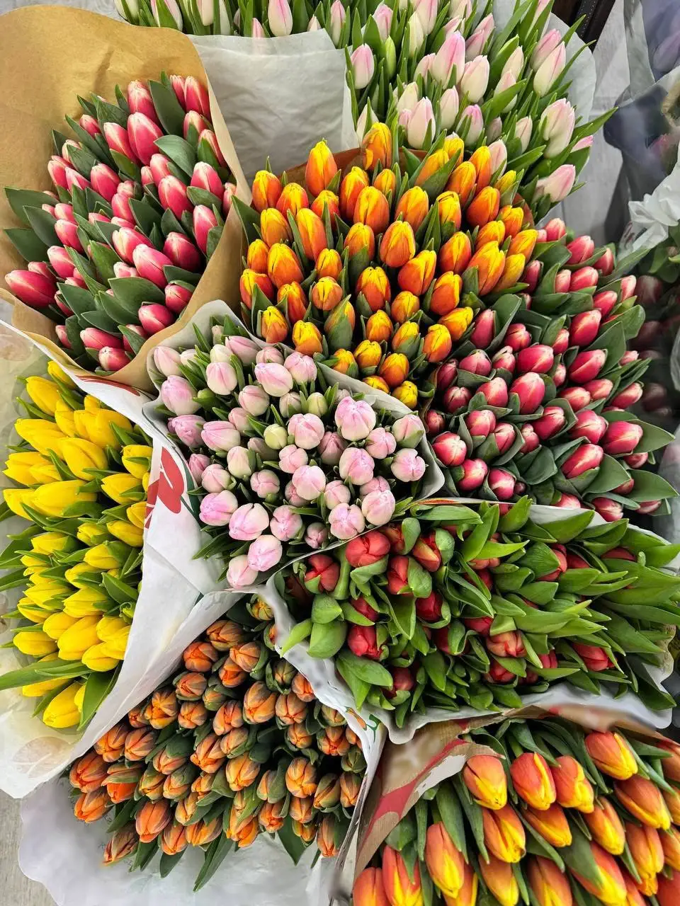 Цветочный магазин к 8 Марта - Доставка цветов (Услуги) в Калининград
