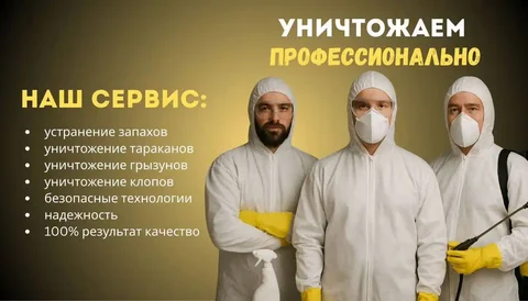 Услуги по уничтожению тараканов, клопов и других насекомых в Уфе - частное объявление в Уфа