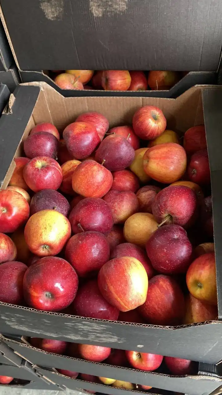 Продажа яблок сортов Галла и Фуджа