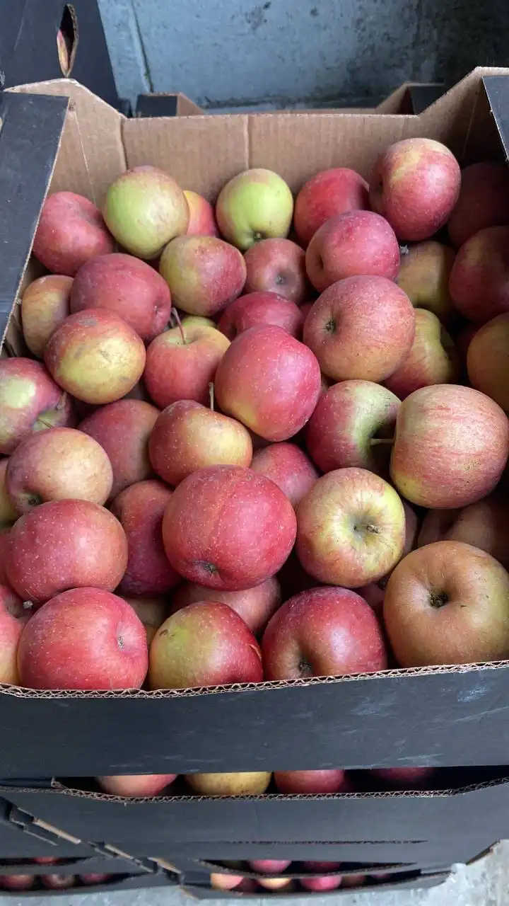 Продажа яблок сортов Галла и Фуджа