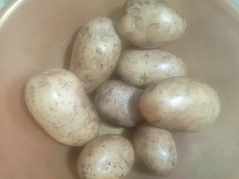 Продается картофель сорт Гала - Разное в Чебоксары