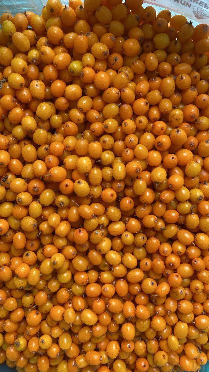 Свежезамороженные ягоды и свежая зелень