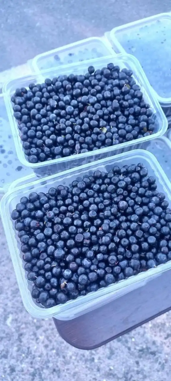 Свежезамороженные ягоды и свежая зелень