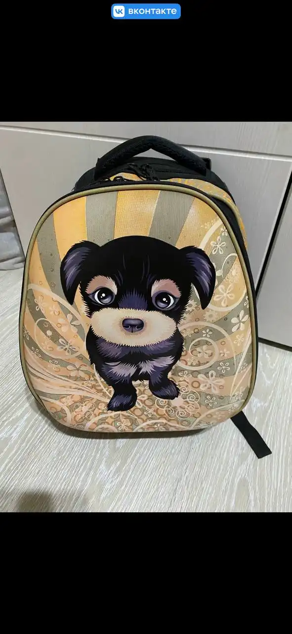 Школьные ранцы с ортопедической спинкой - Школьные товары (Барахолка) в Балашиха