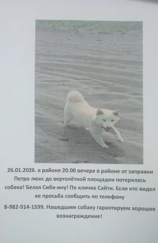 Продажа товаров в Вилючинске - Разное в Вилючинск