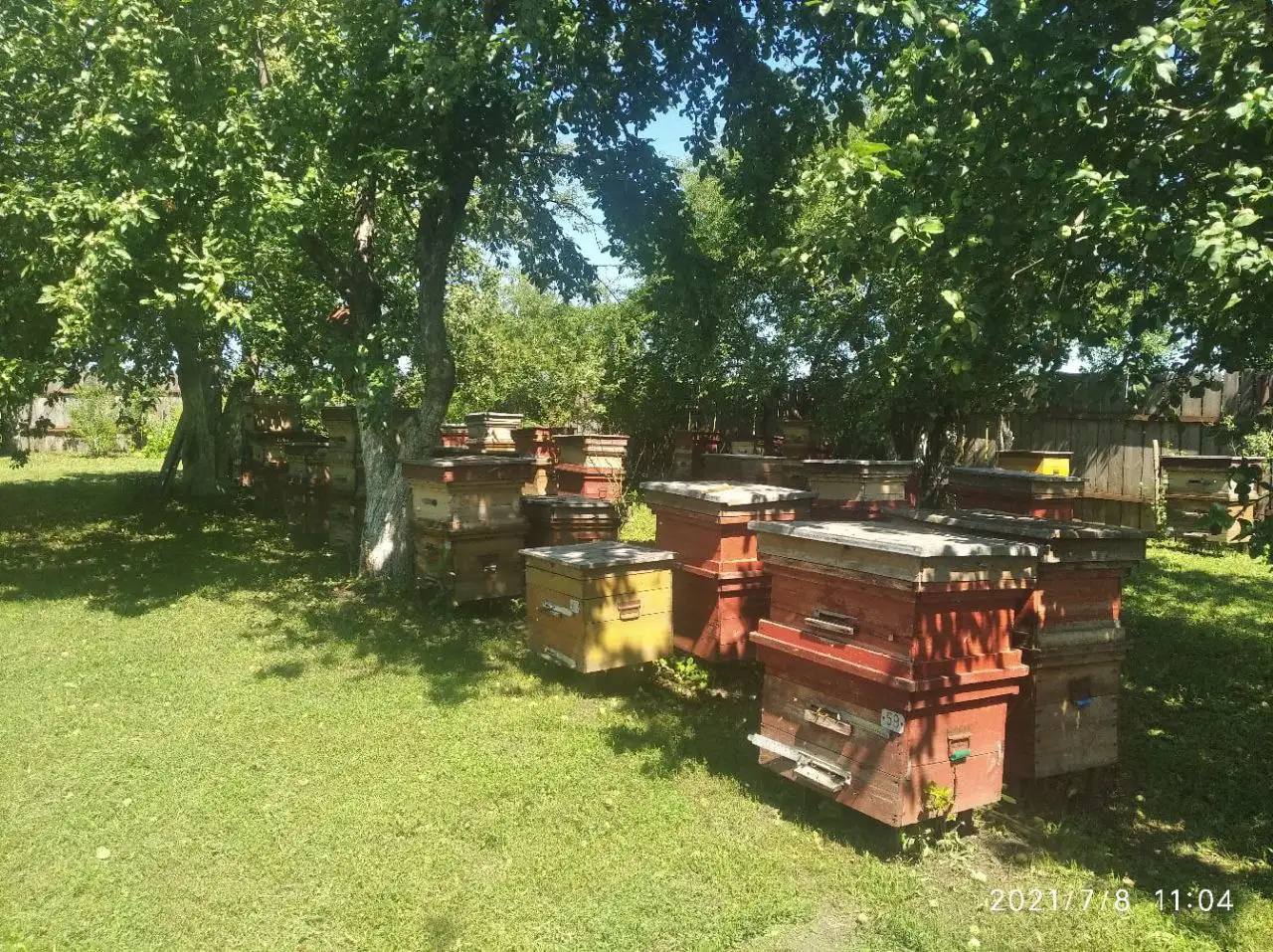 Продается натуральный мед разнотравье из Воронежской области - Продукты питания (Барахолка) в Балашиха