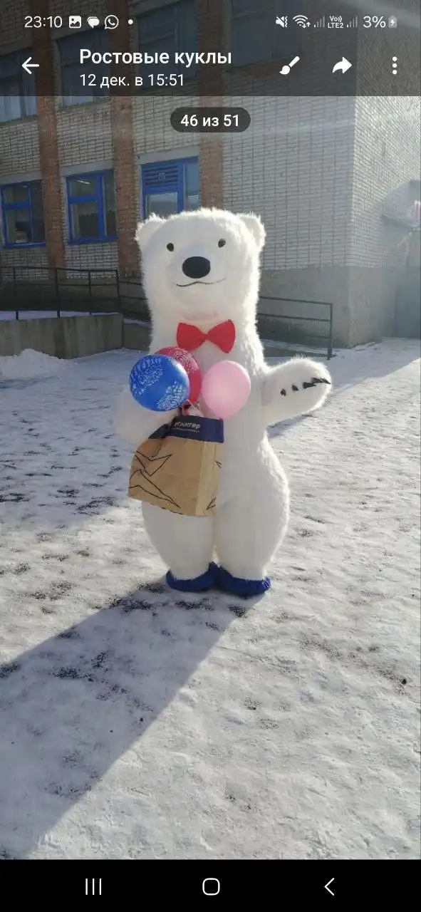 Услуги ростовых кукол для мероприятий - Анимация и развлечения (Услуги) в Нежинка
