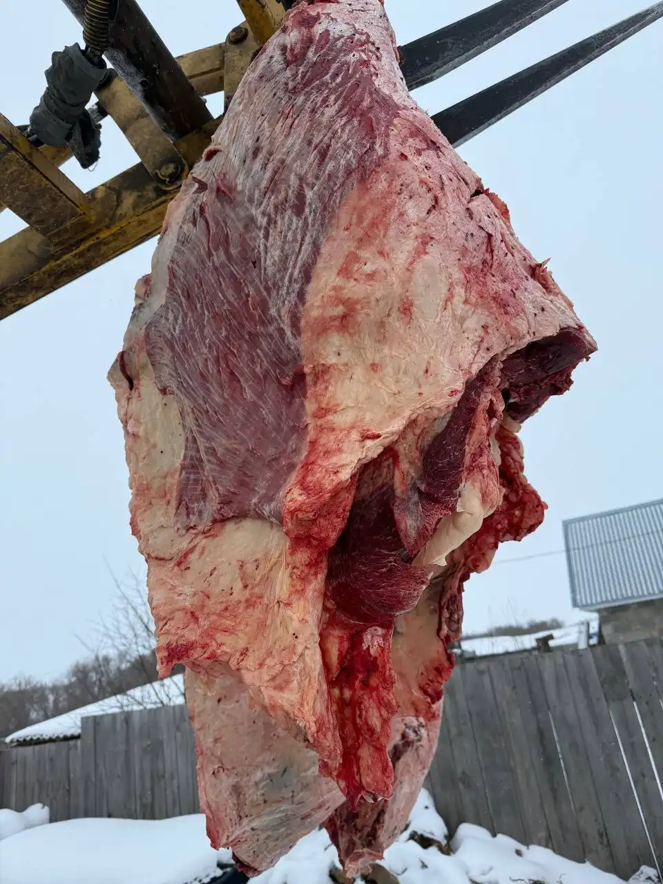 Продажа конины халяль частями - Продукты питания (Барахолка) в Оренбург