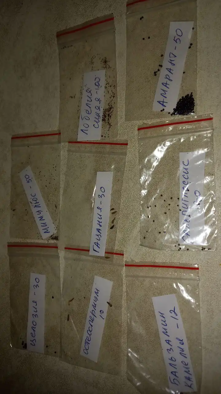 Продажа остатков семян однолетних цветов - Семена растений (Хобби и отдых) в Оренбург