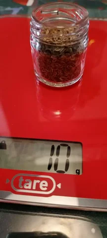 Продажа укропа - Барахолка в Нежинка