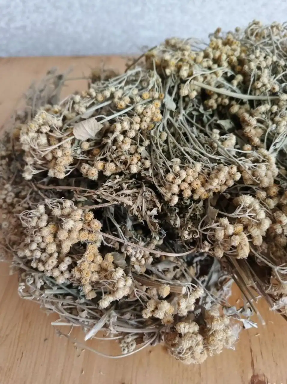 Продажа растений: Кануфер бальзамический и Эхинацея - Растения (Хобби и отдых) в Нежинка