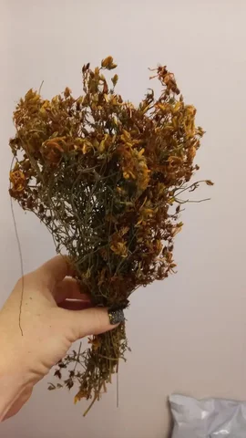 Сушеный зверобой - Статуэтки в Нежинка