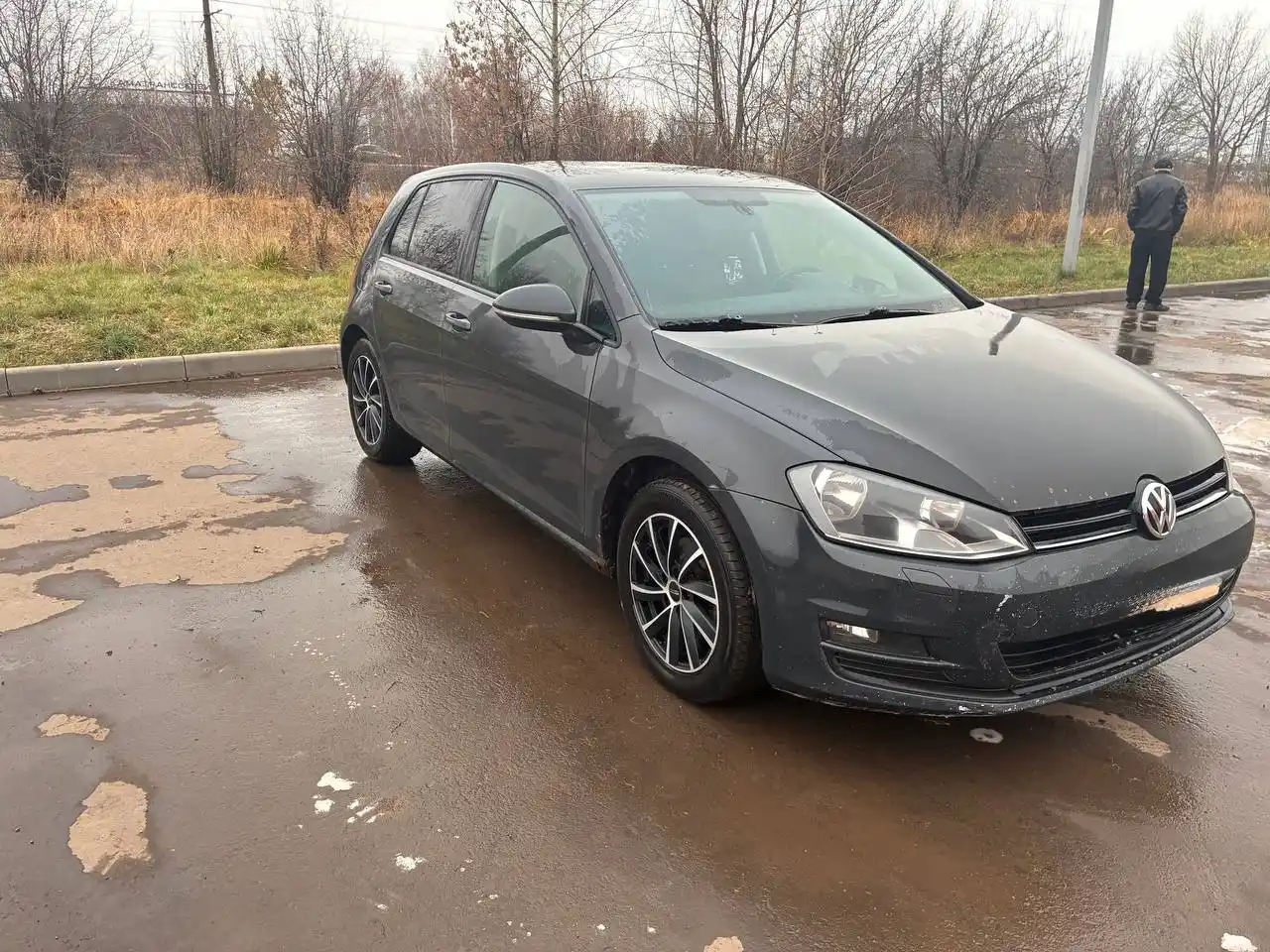 Автомобиль 2014 года с рыжиками