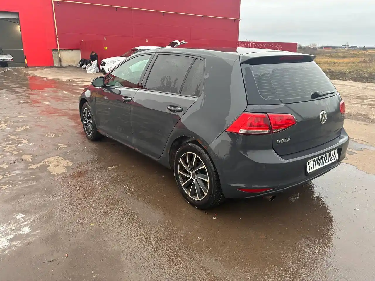 Автомобиль 2014 года с рыжиками