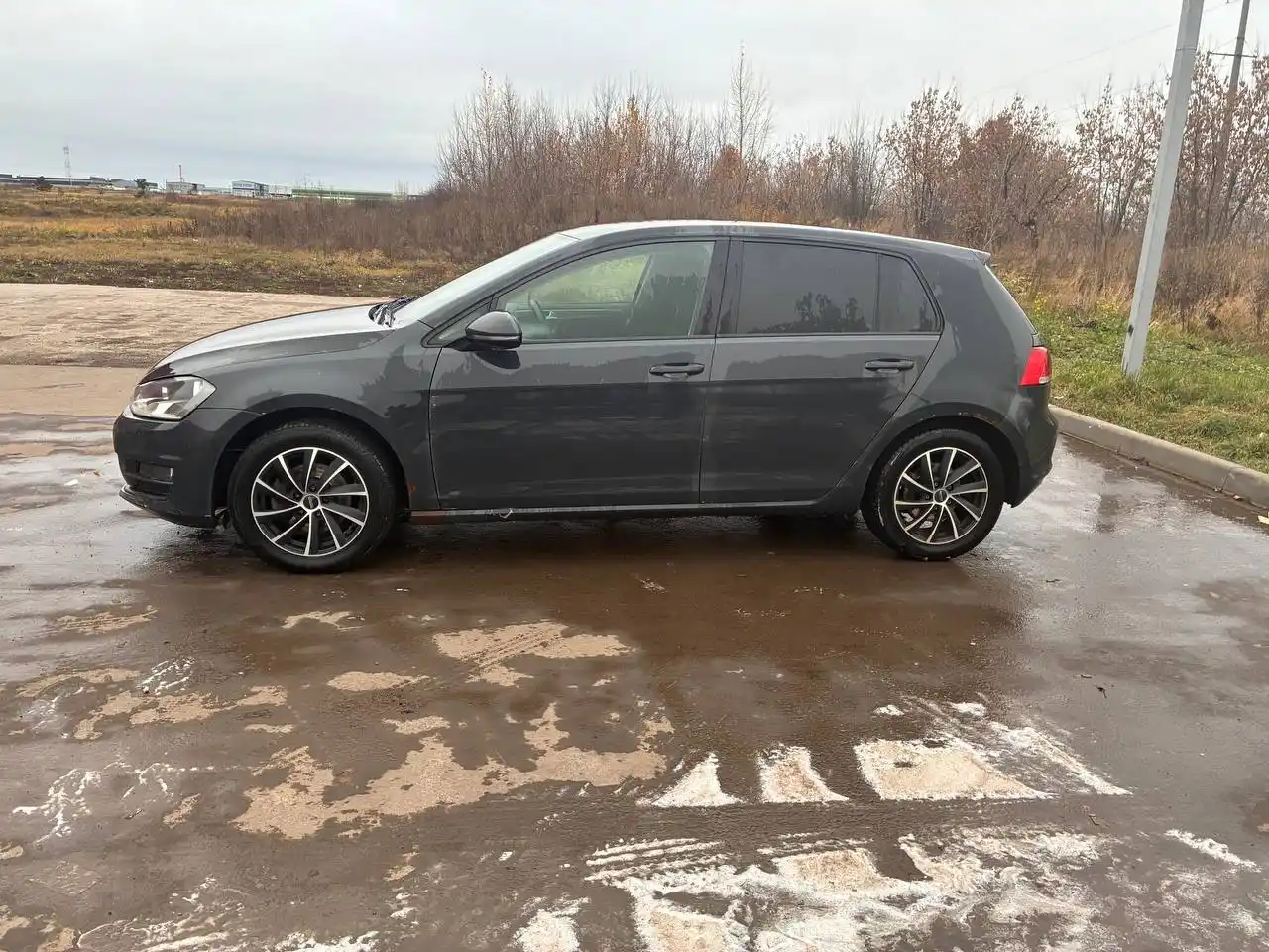 Автомобиль 2014 года с рыжиками