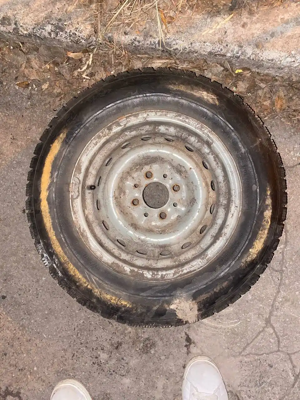 Продам шины 175/70/R13