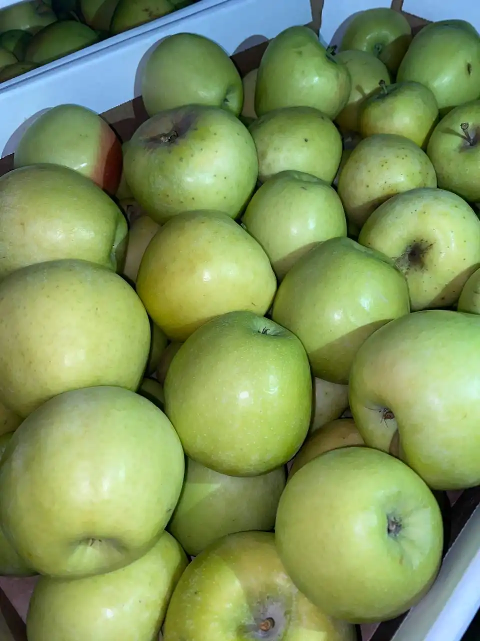 Свежие яблоки Голден