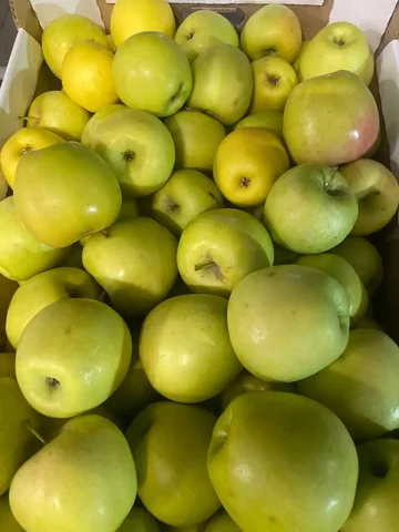 Развоз яблок в Краснодаре - Хобби и отдых в Краснодар