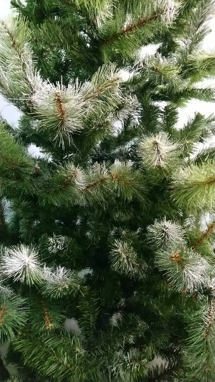 Продажа искусственной ёлки 2.5 м