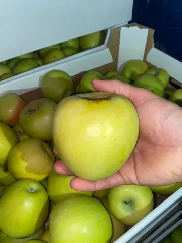 Развоз яблок в Краснодаре - Хобби и отдых в Краснодар