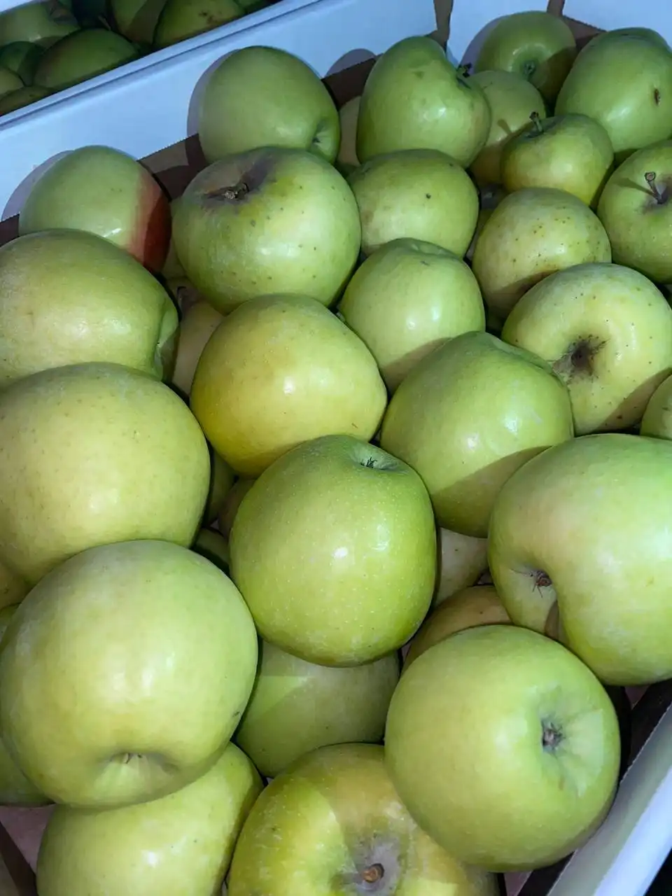 Развоз яблок