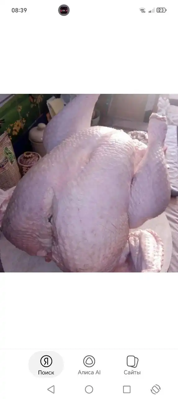 Мясо индюшки домашнее