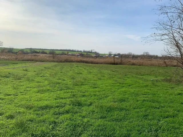 Продажа земельного участка 32 сотки с выходом к реке в станице Журавской - Недвижимость в Журавская