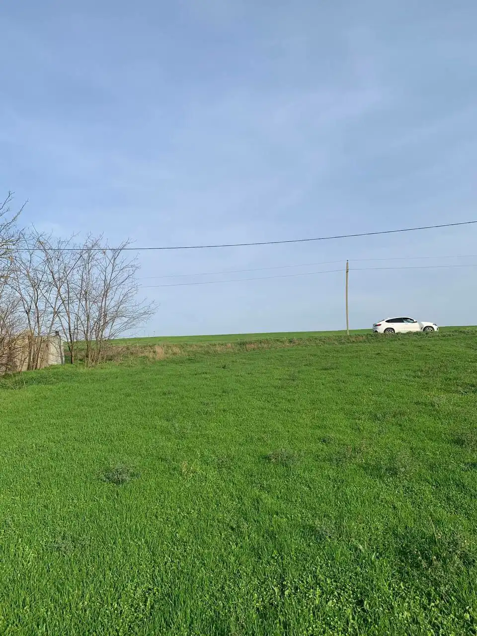 Продажа земельного участка 32 сотки с выходом к реке в станице Журавской - Недвижимость в Журавская