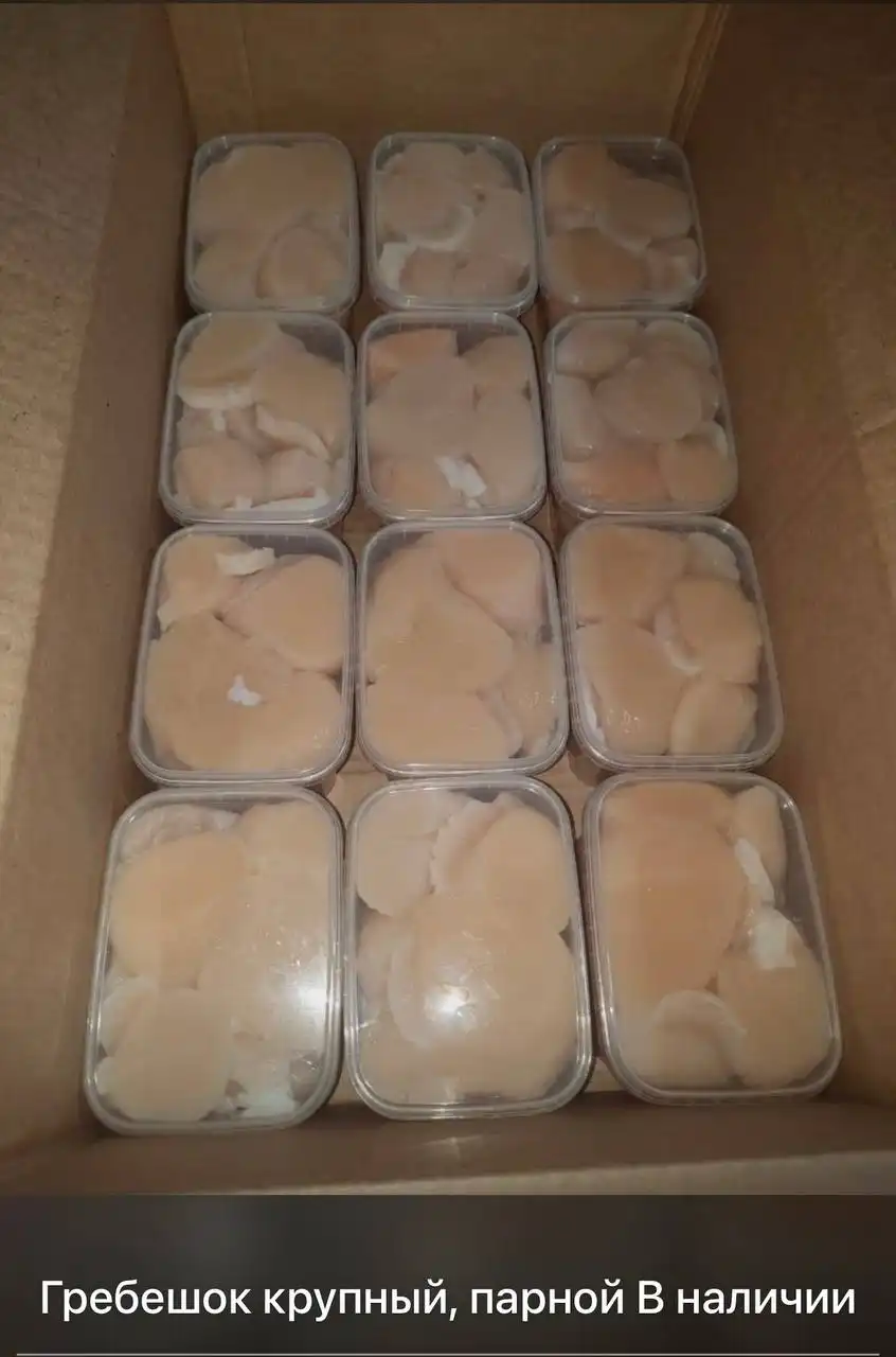 Икра кеты вылов 2025 Пос. Ягодный