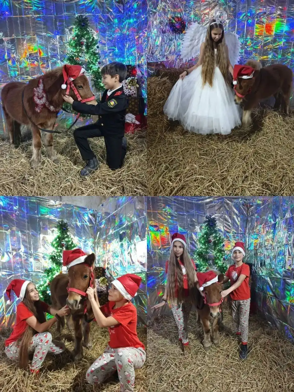 Фотозона для новогодних съемок на ферме с лошадьми и пони