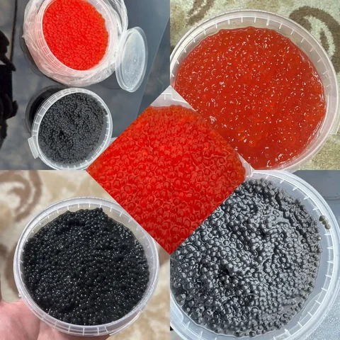 Икра форели и осетра с доставкой - Хобби и отдых в Краснодар