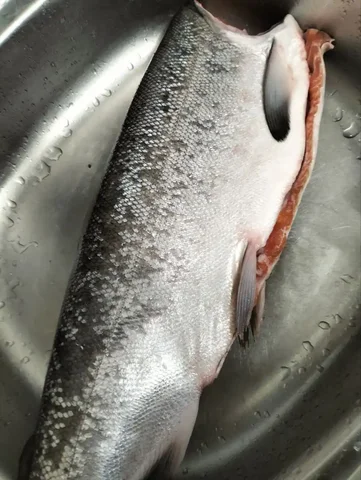 Продажа кижуча с/м - Разное в Краснодар