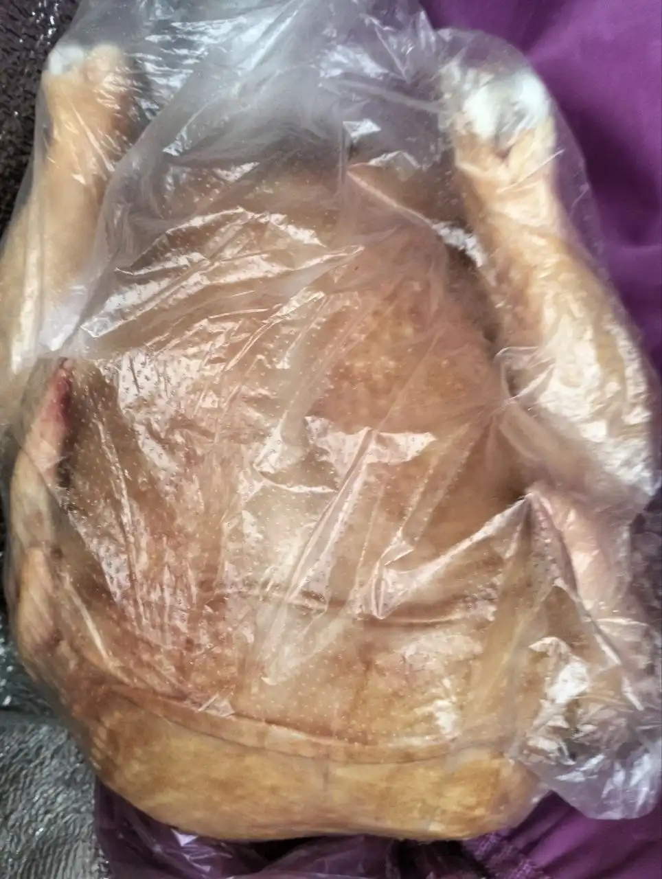 Продажа бройлеров